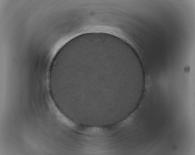 X0000111441517200907131253