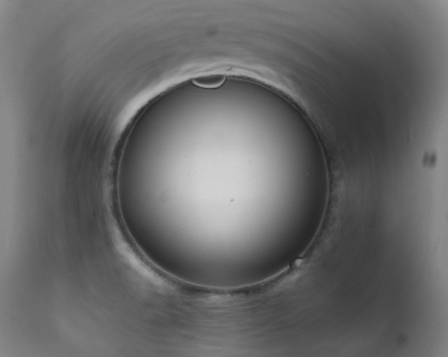X0000111441518200907131253