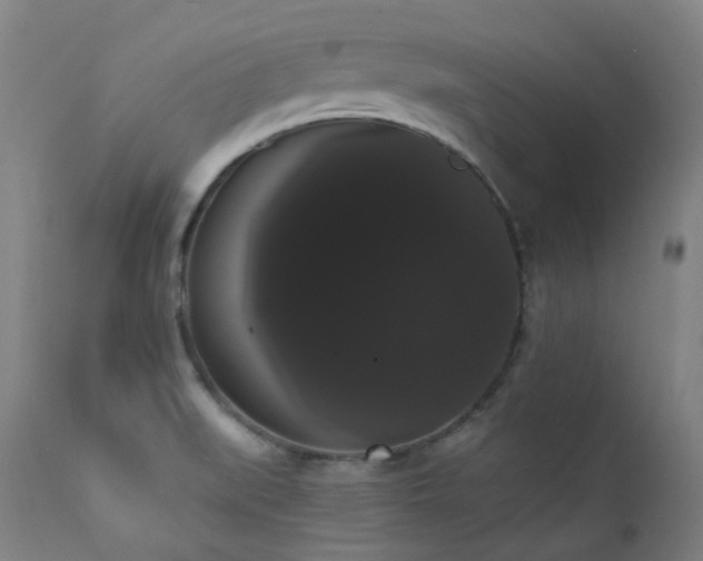 X0000111441519200907131253