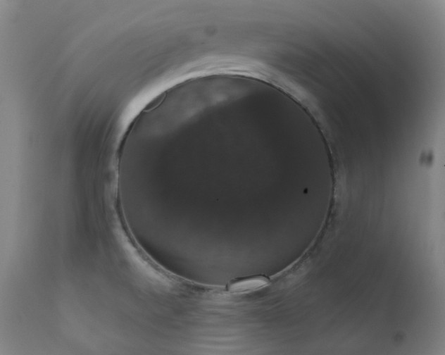 X0000111441520200907131253