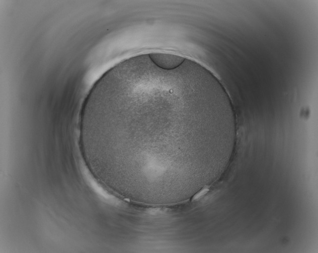 X0000111441523200907131253