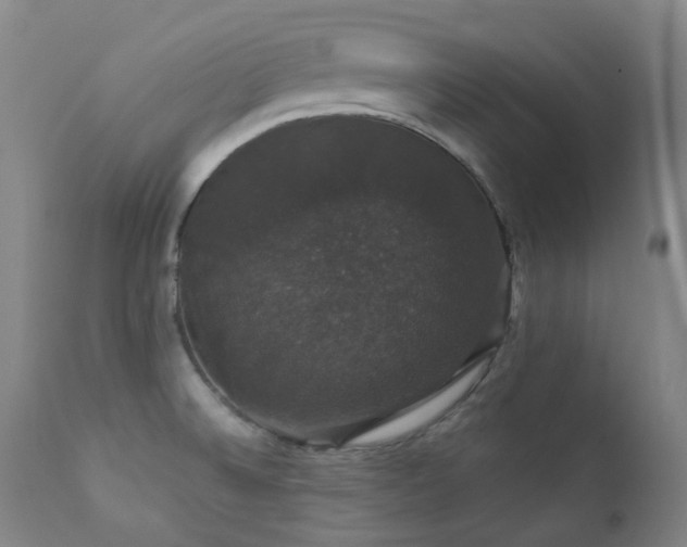 X0000111441524200907131253