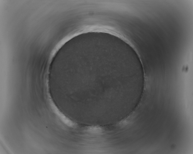 X0000111441525200907131253