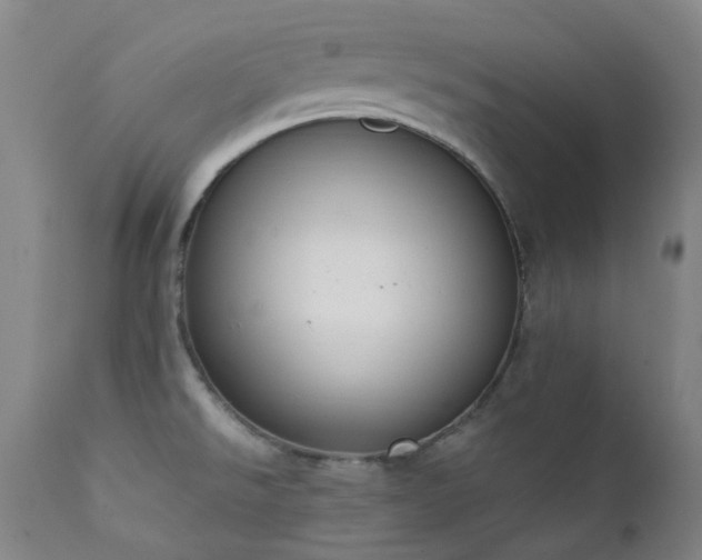 X0000111441526200907131253