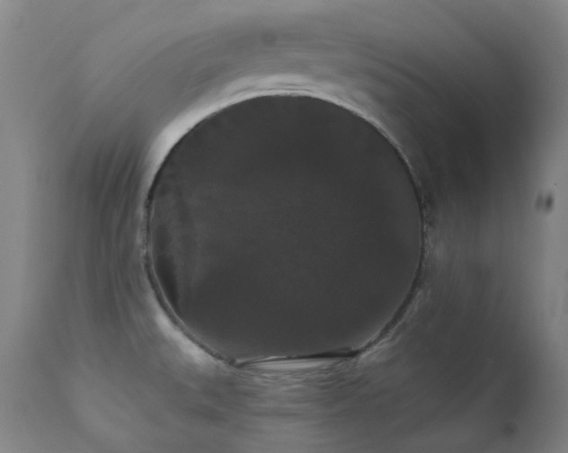X0000111441527200907131253