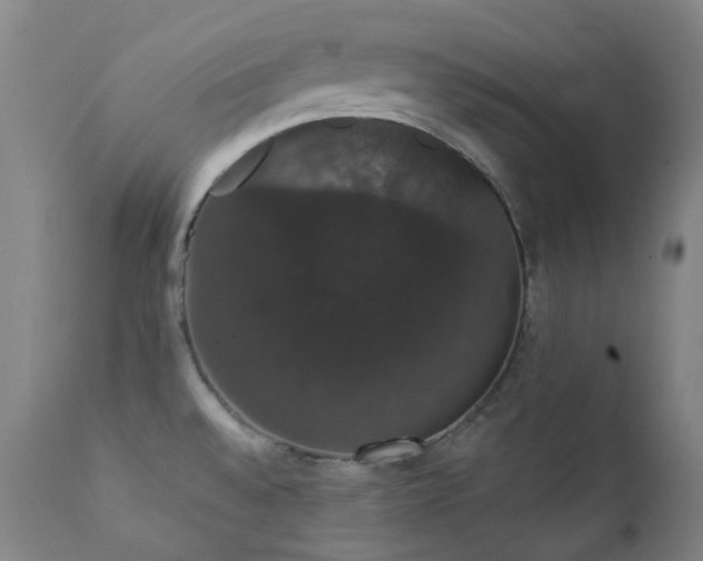 X0000111441528200907131253