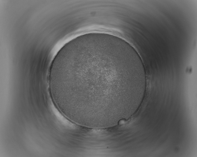 X0000111441531200907131253