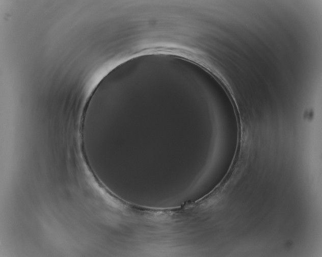 X0000111441533200907131253