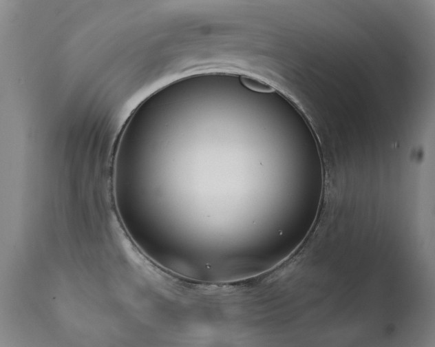 X0000111441534200907131253