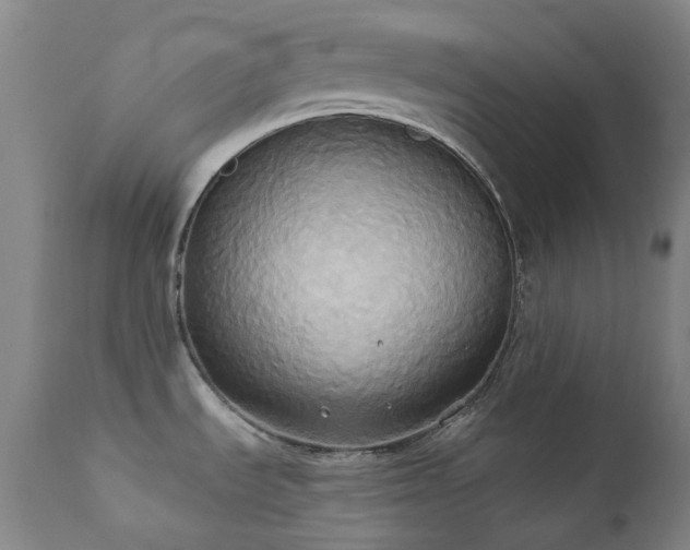 X0000111441535200907131253