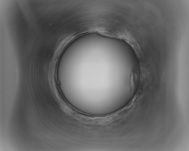 X0000111440001200907201138