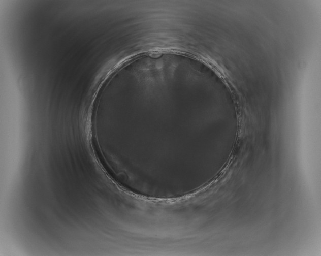 X0000111440002200907201138