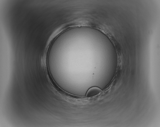 X0000111440004200907201138