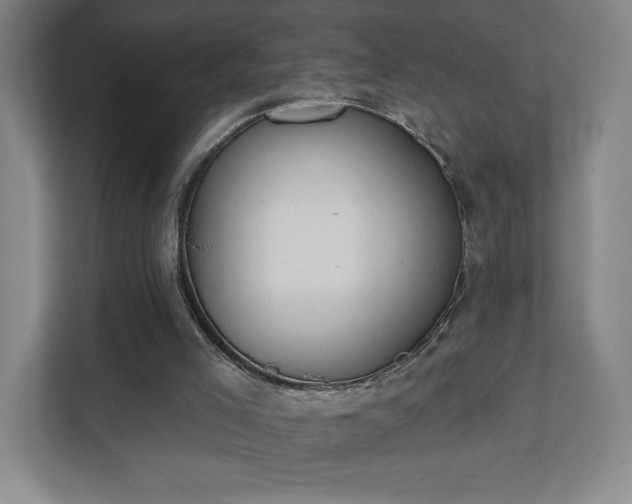 X0000111440005200907201138