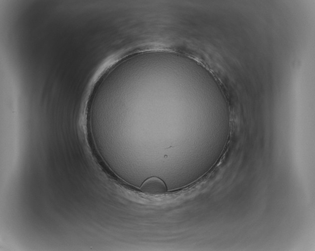 X0000111440006200907201138