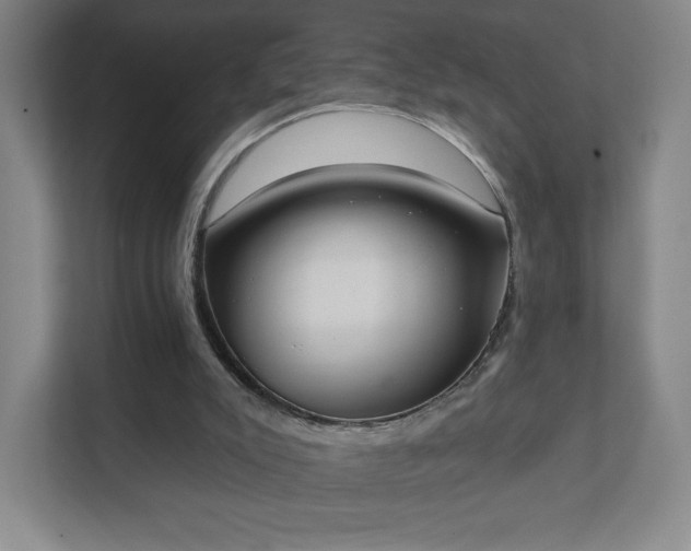 X0000111440007200907201138