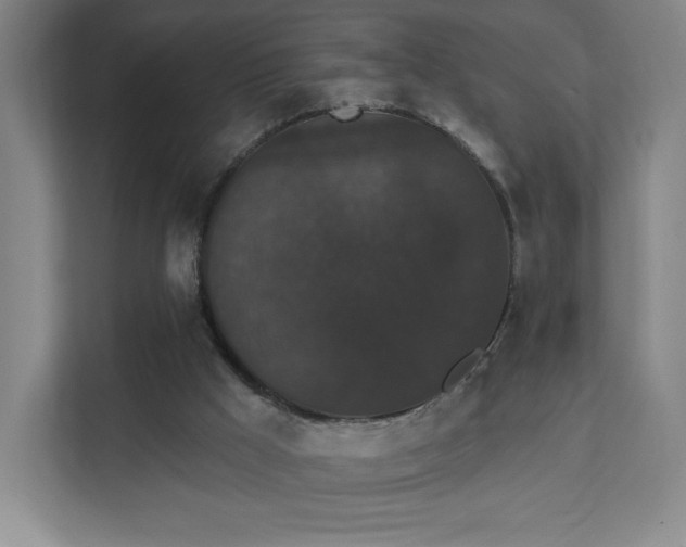 X0000111440009200907201138