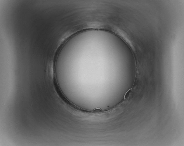 X0000111440011200907201138