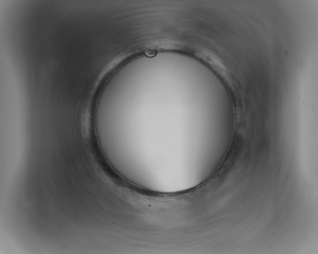 X0000111440012200907201138