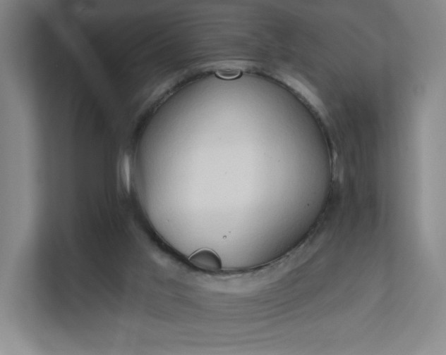 X0000111440013200907201138