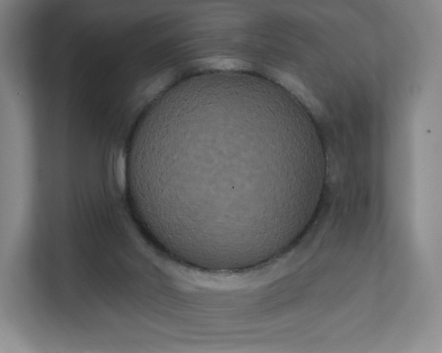 X0000111440014200907201138