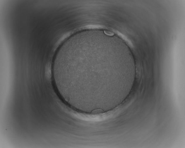 X0000111440015200907201138