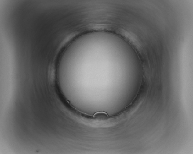 X0000111440016200907201138