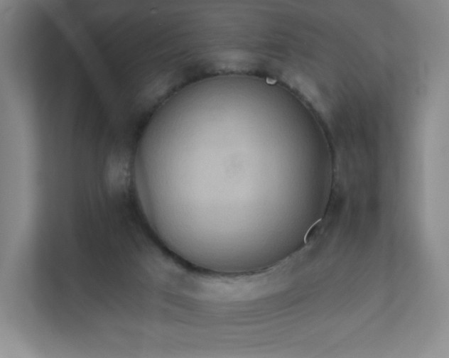 X0000111440017200907201138