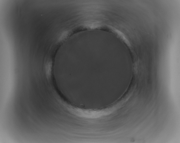 X0000111440018200907201138