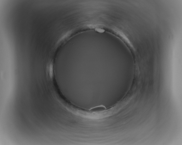 X0000111440019200907201138