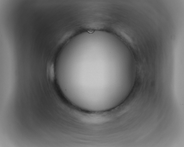 X0000111440020200907201138