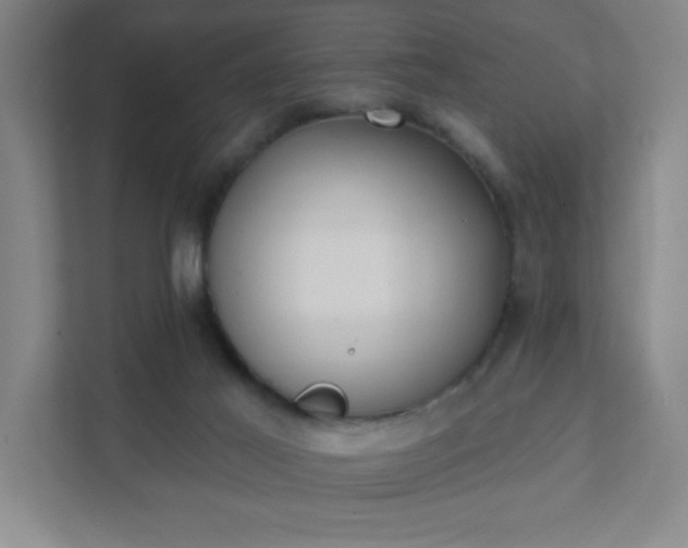 X0000111440021200907201138