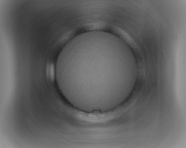 X0000111440022200907201138