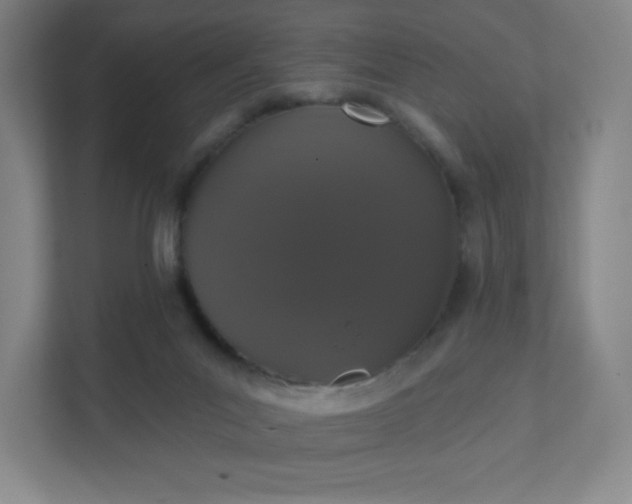 X0000111440023200907201138