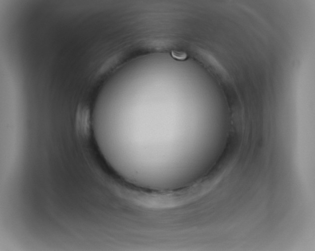 X0000111440024200907201138