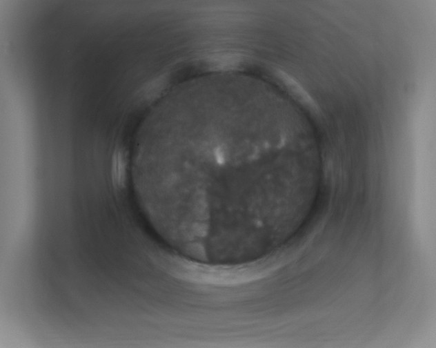 X0000111440026200907201138