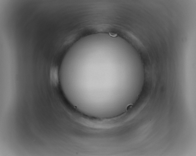 X0000111440028200907201138