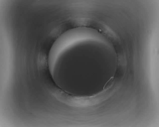 X0000111440029200907201137