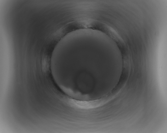 X0000111440030200907201137