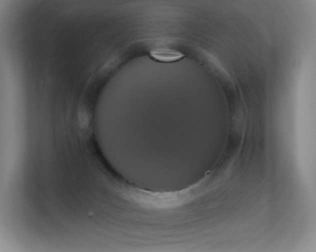 X0000111440031200907201137