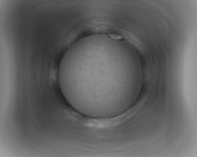 X0000111440033200907201137