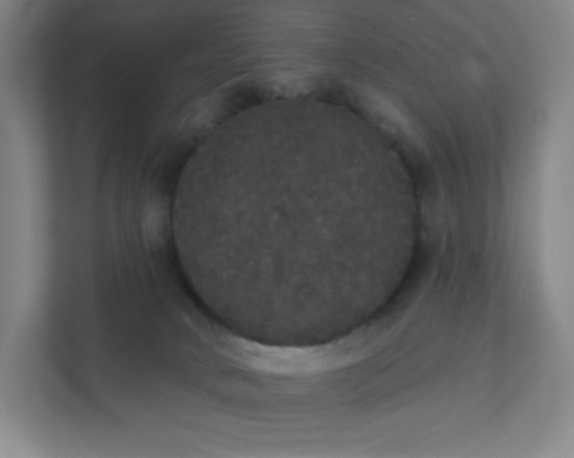 X0000111440034200907201137