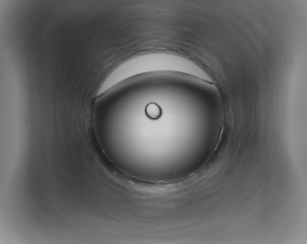 X0000111440036200907201137