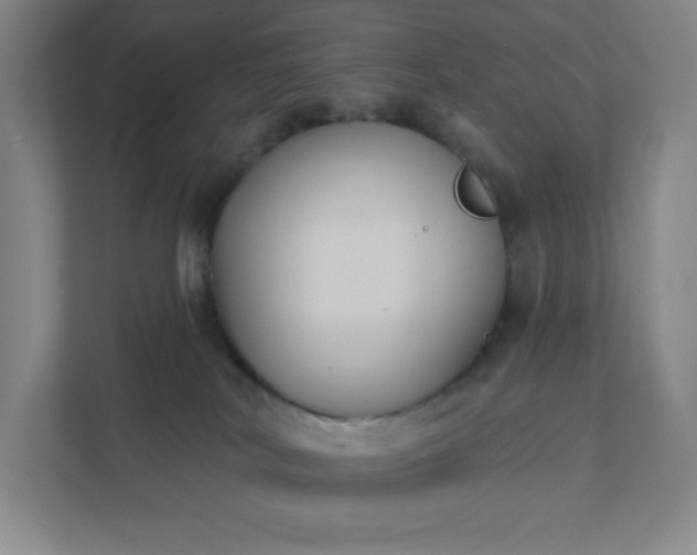 X0000111440038200907201137