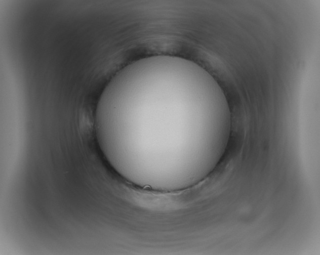 X0000111440040200907201137