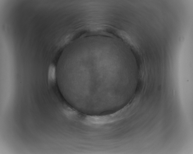 X0000111440041200907201137