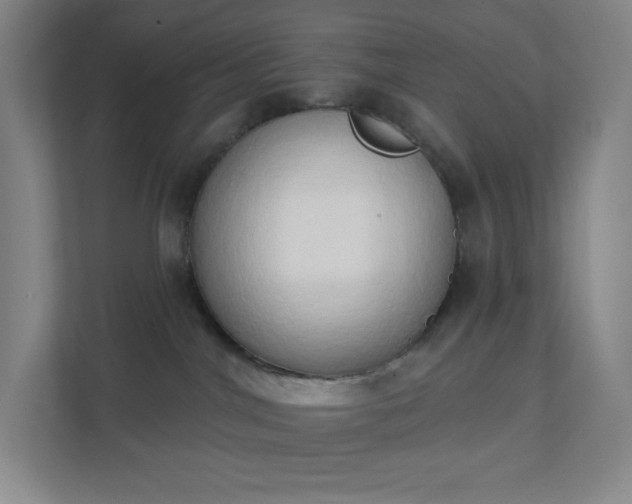 X0000111440044200907201137