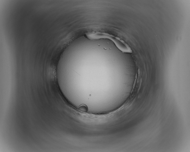 X0000111440048200907201137