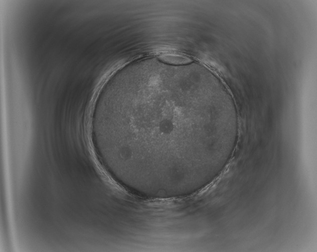 X0000111440049200907201137