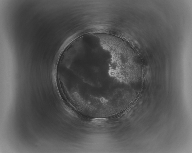 X0000111440051200907201137